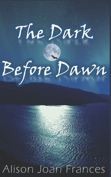 Knjiga Dark Before Dawn Alison Joan Frances