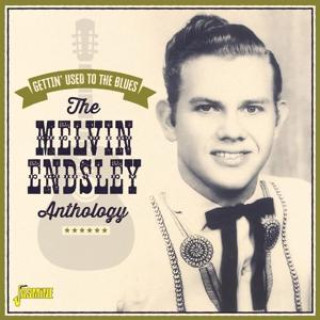 Zvok Anthology Melvin Endsley