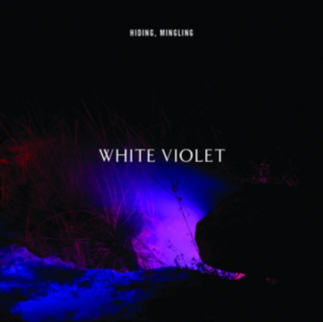 Audio Hiding Mingling White Violet