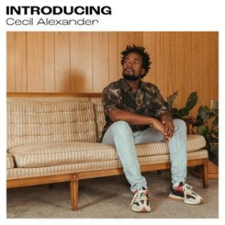 Zvok Introducing 