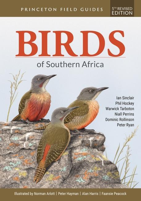 Książka Birds of Southern Africa: Fifth Revised Edition Phil Hockey