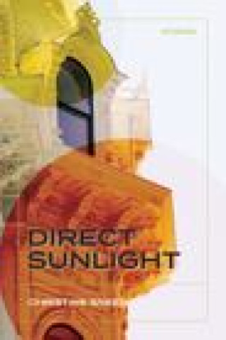 Βιβλίο Direct Sunlight: Stories Sneed