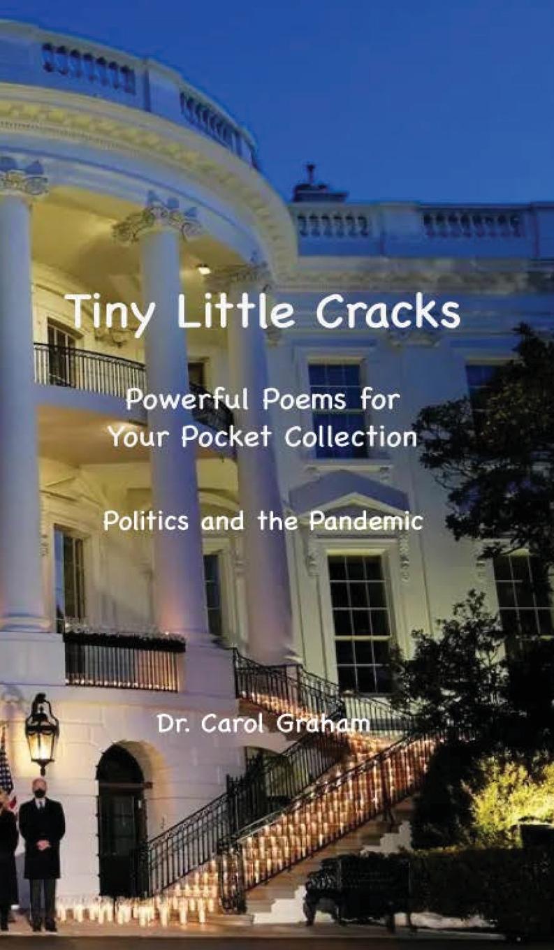 Knjiga Tiny Little Cracks Dr. Carol J. Graham