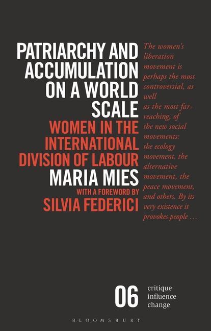 Kniha Patriarchy and Accumulation on a World Scale: Women in the International Division of Labour Silvia Federici