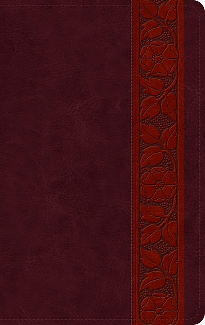 Kniha ESV Large Print Personal Size Bible (Trutone, Mahogany, Trellis Design) 