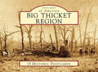 Kniha Big Thicket Region 
