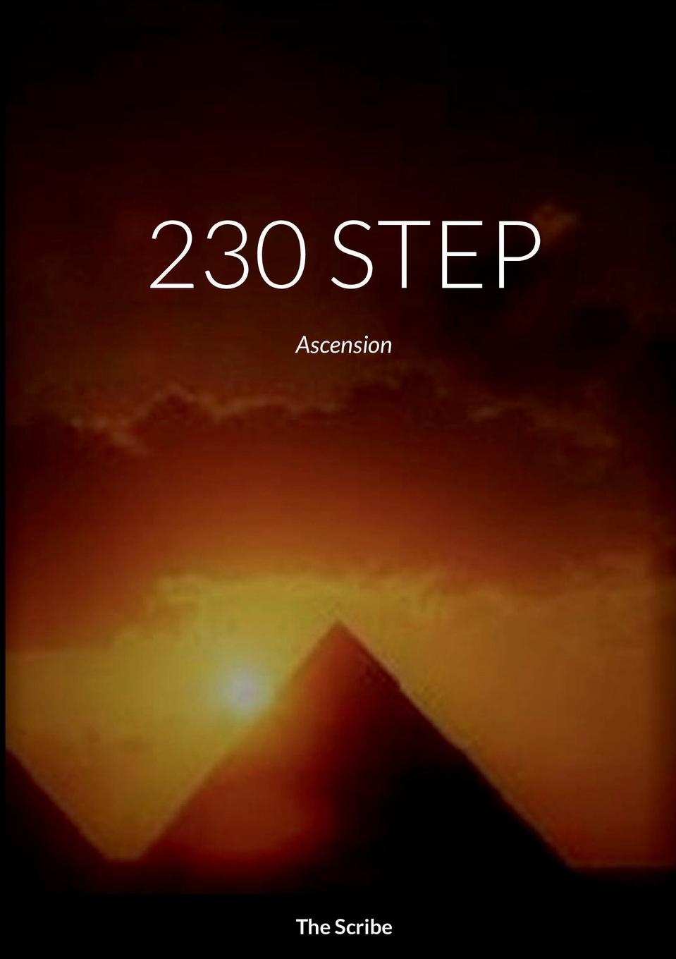 Knjiga 230 STEP La Escriba