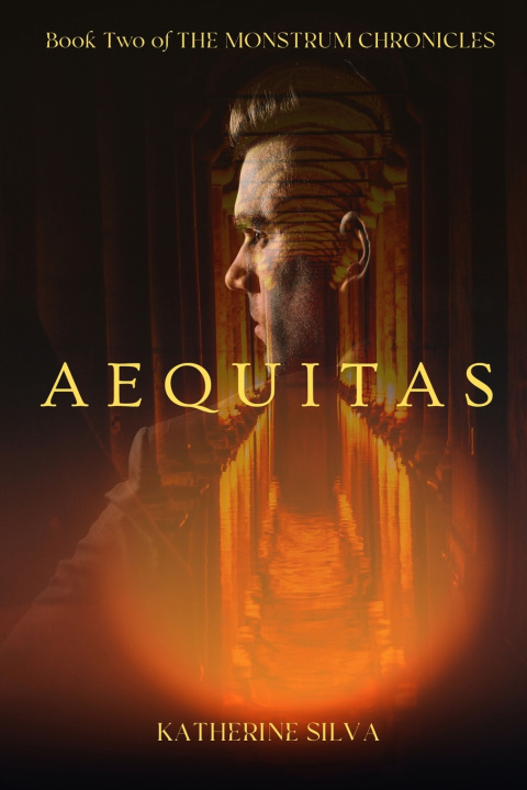 Knjiga Aequitas Katherine Silva