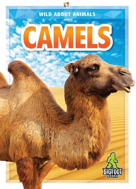 Kniha Camels 