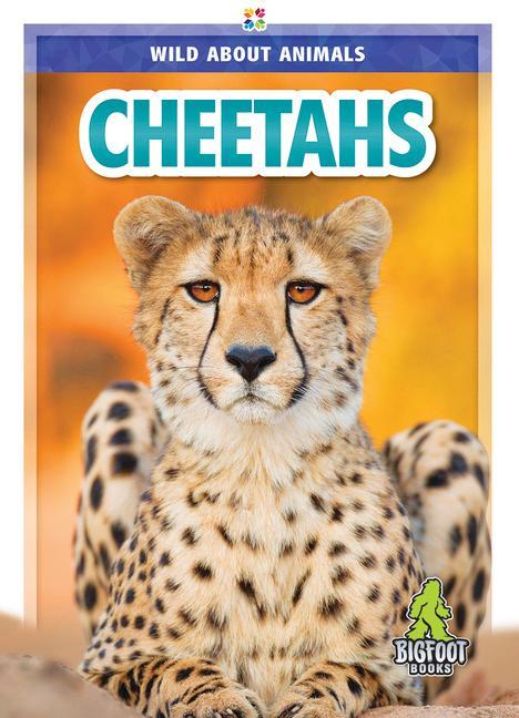 Book Cheetahs 