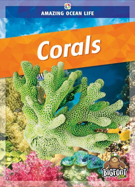 Βιβλίο Corals 