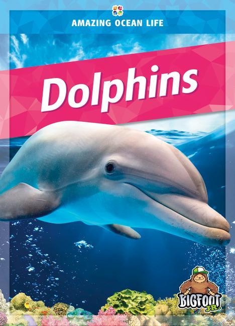 Carte Dolphins 