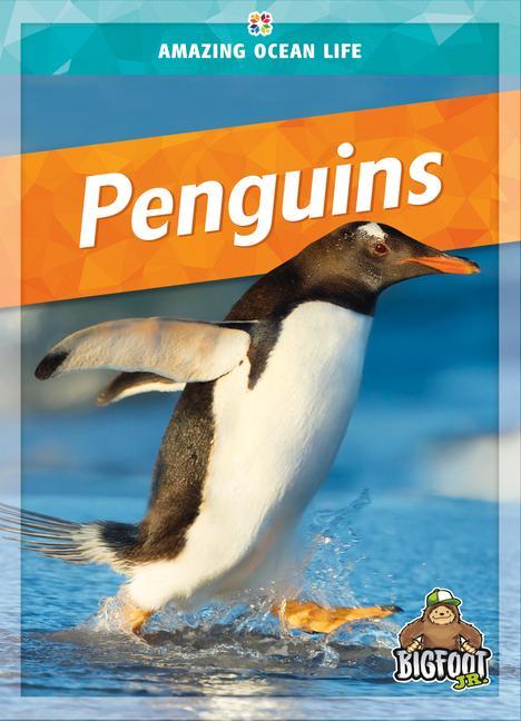 Carte Penguins 