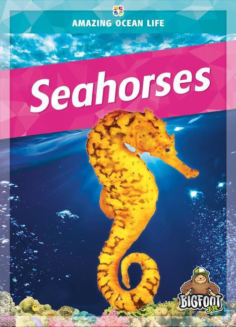 Boek Seahorses 