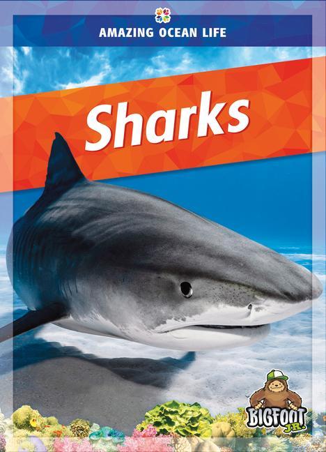 Knjiga Sharks 
