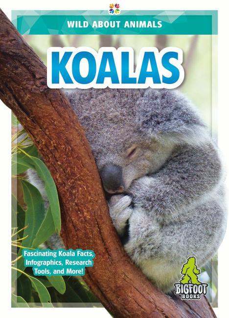 Könyv Koalas 
