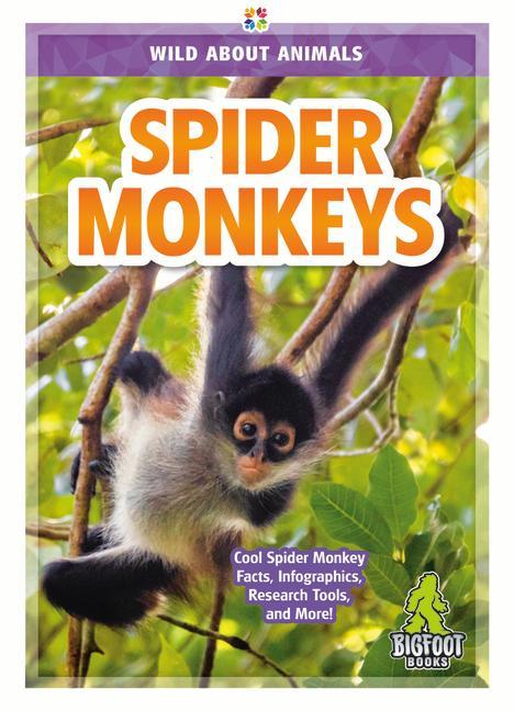 Książka Spider Monkeys 