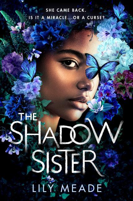Kniha The Shadow Sister 