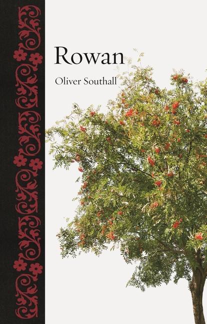 Buch Rowan 