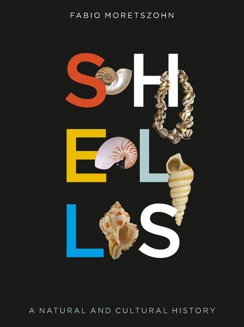 Livre Shells: A Natural and Cultural History Jerry Harasewych