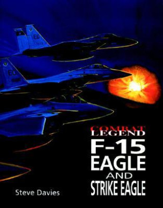 Kniha F-15 Eagle & Strike Eagle 