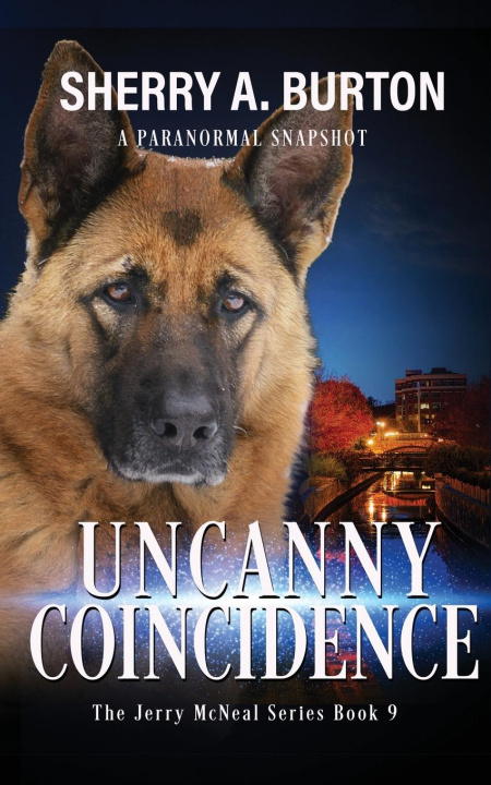 Buch Uncanny Coincidence Sherry A. Burton
