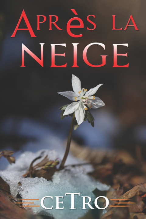 Buch Apres la neige Cetro