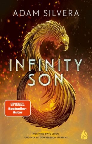 Kniha Infinity Son (Bd. 1) Adam Silvera