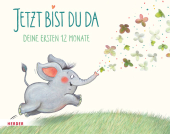 Βιβλίο Jetzt bist du da - Deine ersten 12 Monate Nina Hammerle