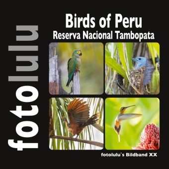 Carte Birds of Peru 