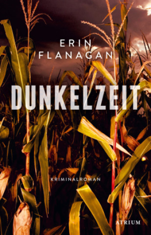 Buch Dunkelzeit Erin Flanagan