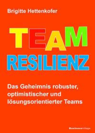Knjiga Team-Resilienz Brigitte Hettenkofer