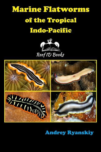 Książka Marine Flatworms of the Tropical Indo-Pacific 