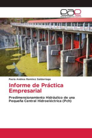 Knjiga Informe de Práctica Empresarial Paola Andrea Ramírez Saldarriaga