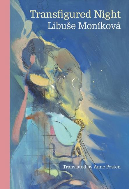 Boek Transfigured Night Helga Braunbeck