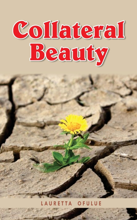 Knjiga Collateral Beauty Lauretta Ofulue
