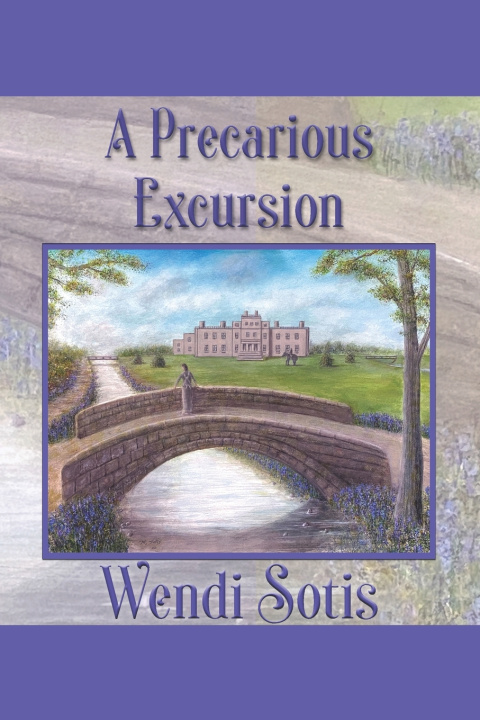 Book Precarious Excursion Wendi Sotis