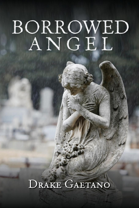 Knjiga Borrowed Angel Drake Gaetano