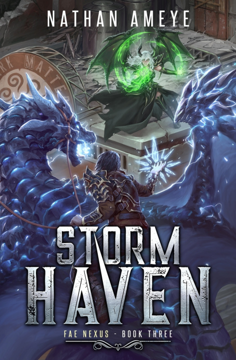 Buch Storm Haven Nathan Ameye