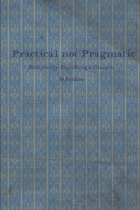 Knjiga Practical Not Pragmatic D Zeidler