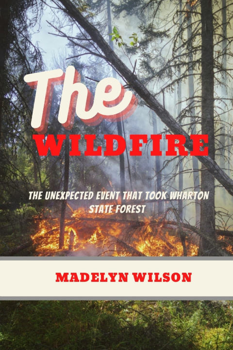 Boek Wildfire Madelyn Wilson