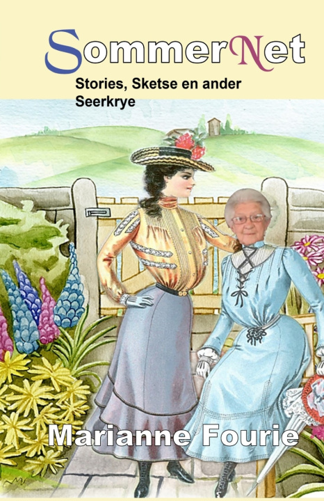 Boek SommerNet Marianne Fourie