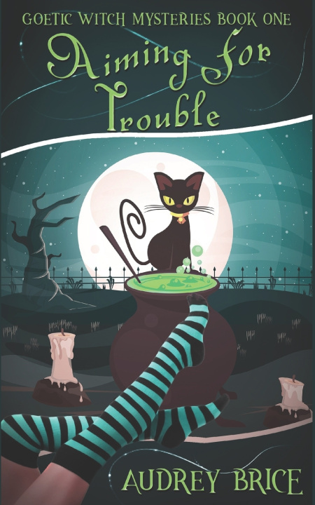 Buch Aiming for Trouble Audrey Brice