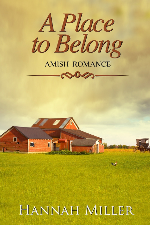 Book Place to Belong Hannah Miller