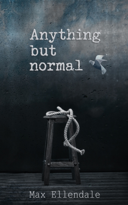 Book Anything but Normal Deadra Krieger