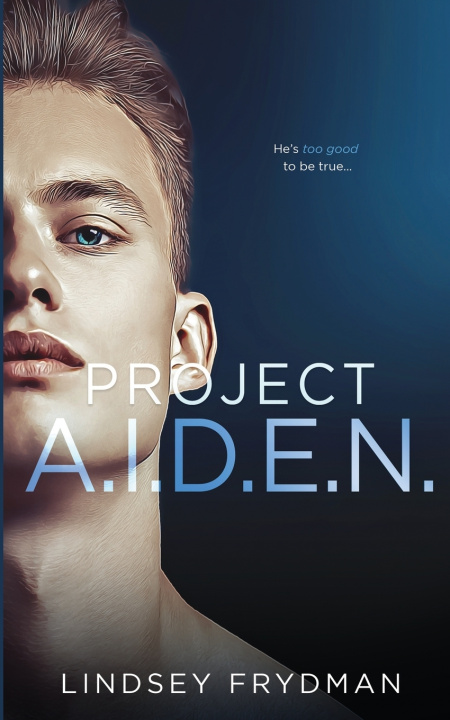 Knjiga Project A.I.D.E.N. Lindsey Frydman