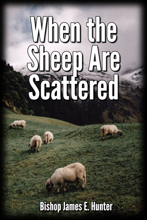 Knjiga When the Sheep Are Scattered Bishop James E Hunter