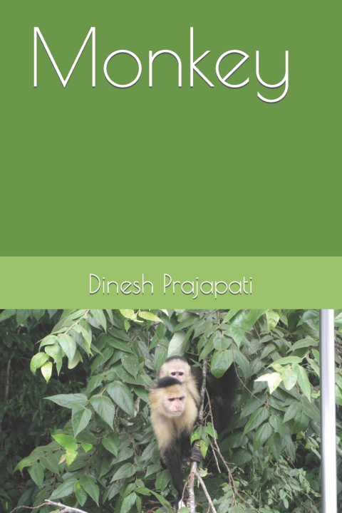 Knjiga Monkey Dinesh Prajapati