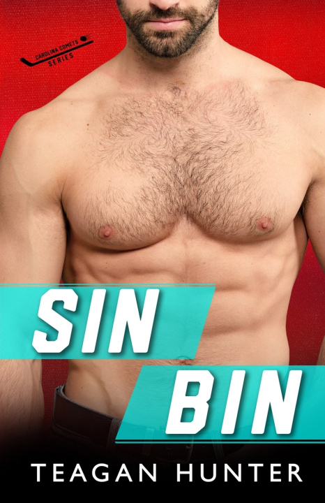 Book Sin Bin Teagan Hunter