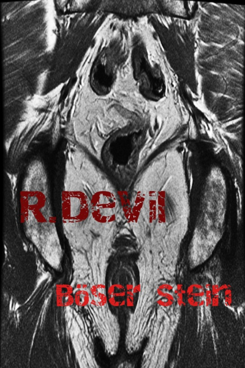 Knjiga Boeser Stein R Devil